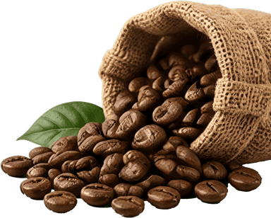 Coffee Beans visual representation
